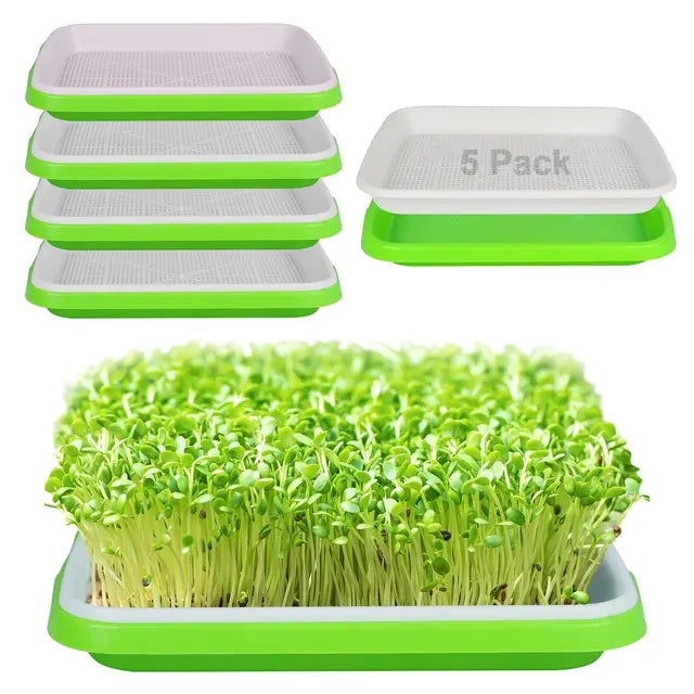 5 Pcs Seed Sprouting Trays, Microgreens Growing Trays, High Breathability