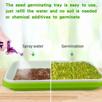 5 Pcs Seed Sprouting Trays, Microgreens Growing Trays, High Breathability