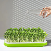 5 Pcs Seed Sprouting Trays, Microgreens Growing Trays, High Breathability