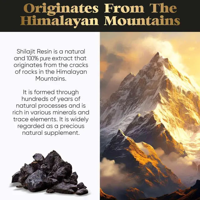 Shilajit-Resin 50g, Pure Himalayan Shilajit Resin Rich in Fulvic Acid and Minerals